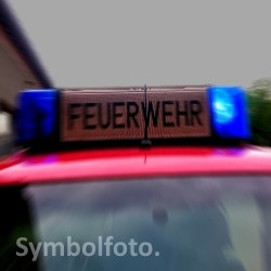 umgestürzter Baum